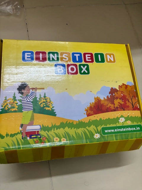Brain Stimulating Einstein Box