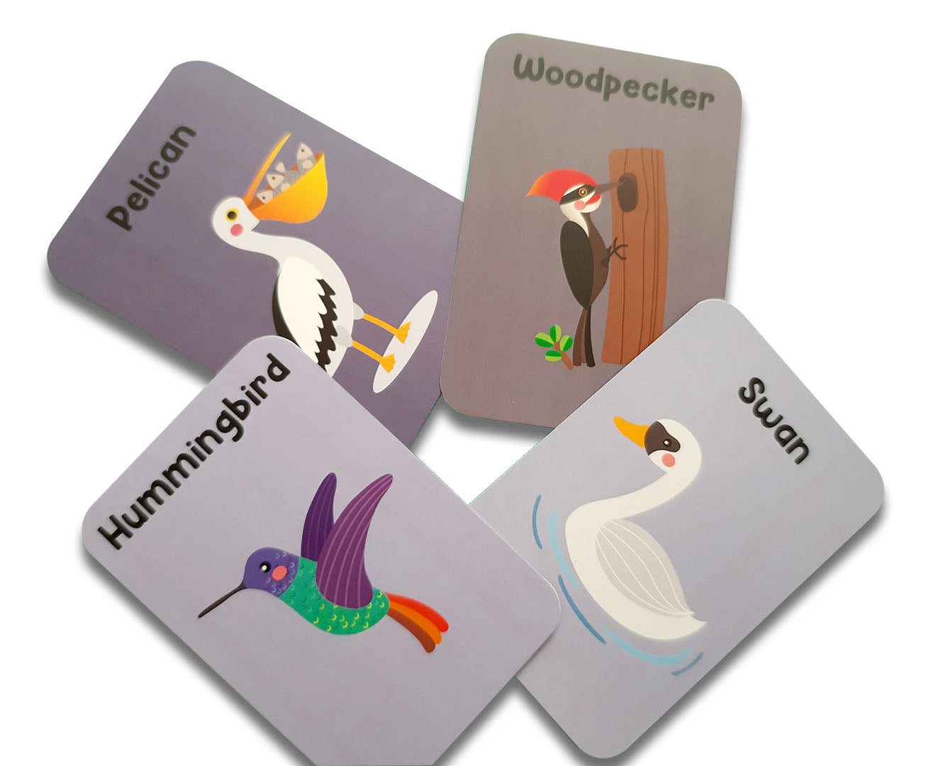 ZOOPLAY Animal World Combo Flashcards ( Animals, Birds, Insects and Sea Animals)