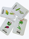 ZOOPLAY First Flashcards Combo Pack - Animals, Fruits & Vegetables, Professions & Space Flashcards)