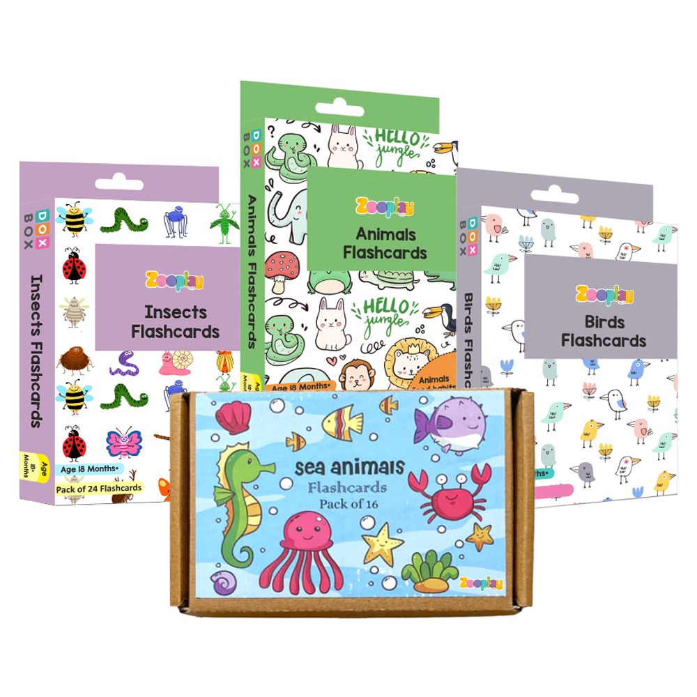 ZOOPLAY Animal World Combo Flashcards ( Animals, Birds, Insects and Sea Animals)