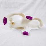 KEEPER Ergonomic Baby Bath Support Infant Bath Recliner Safari B093