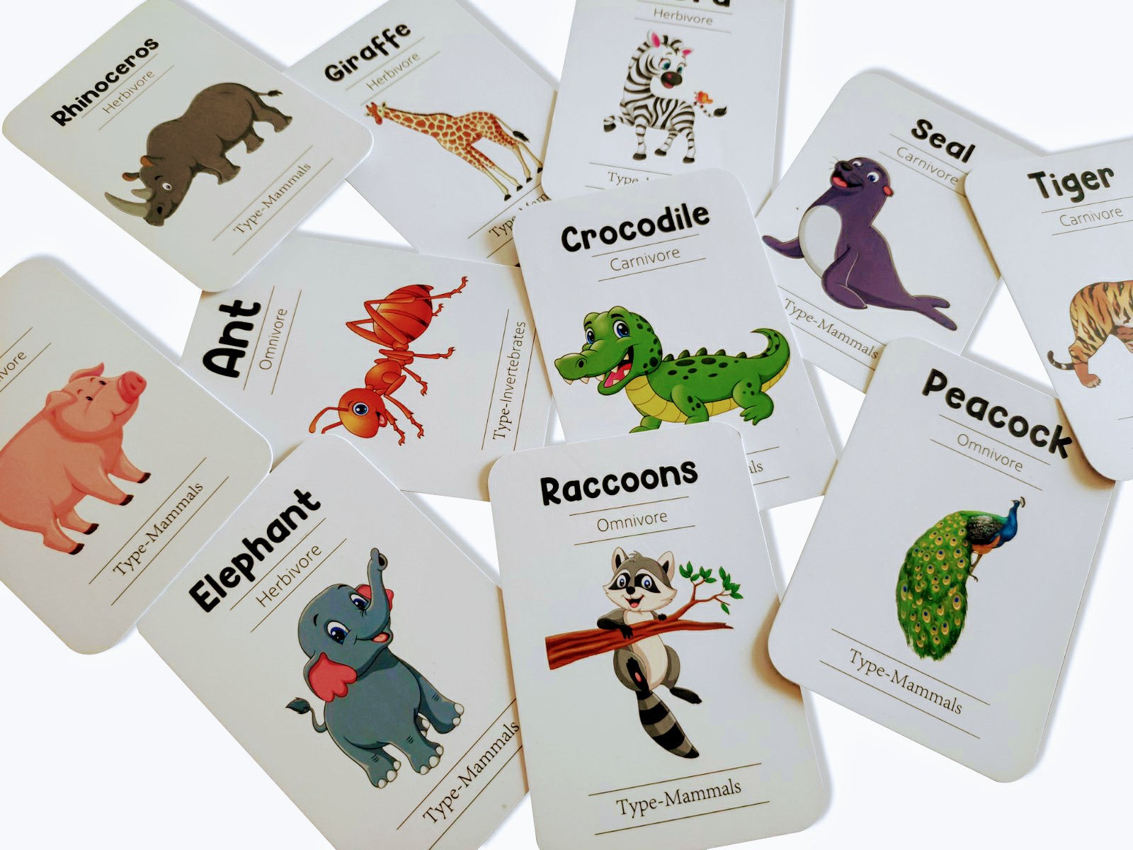 ZOOPLAY Animal World Combo Flashcards ( Animals, Birds, Insects and Sea Animals)