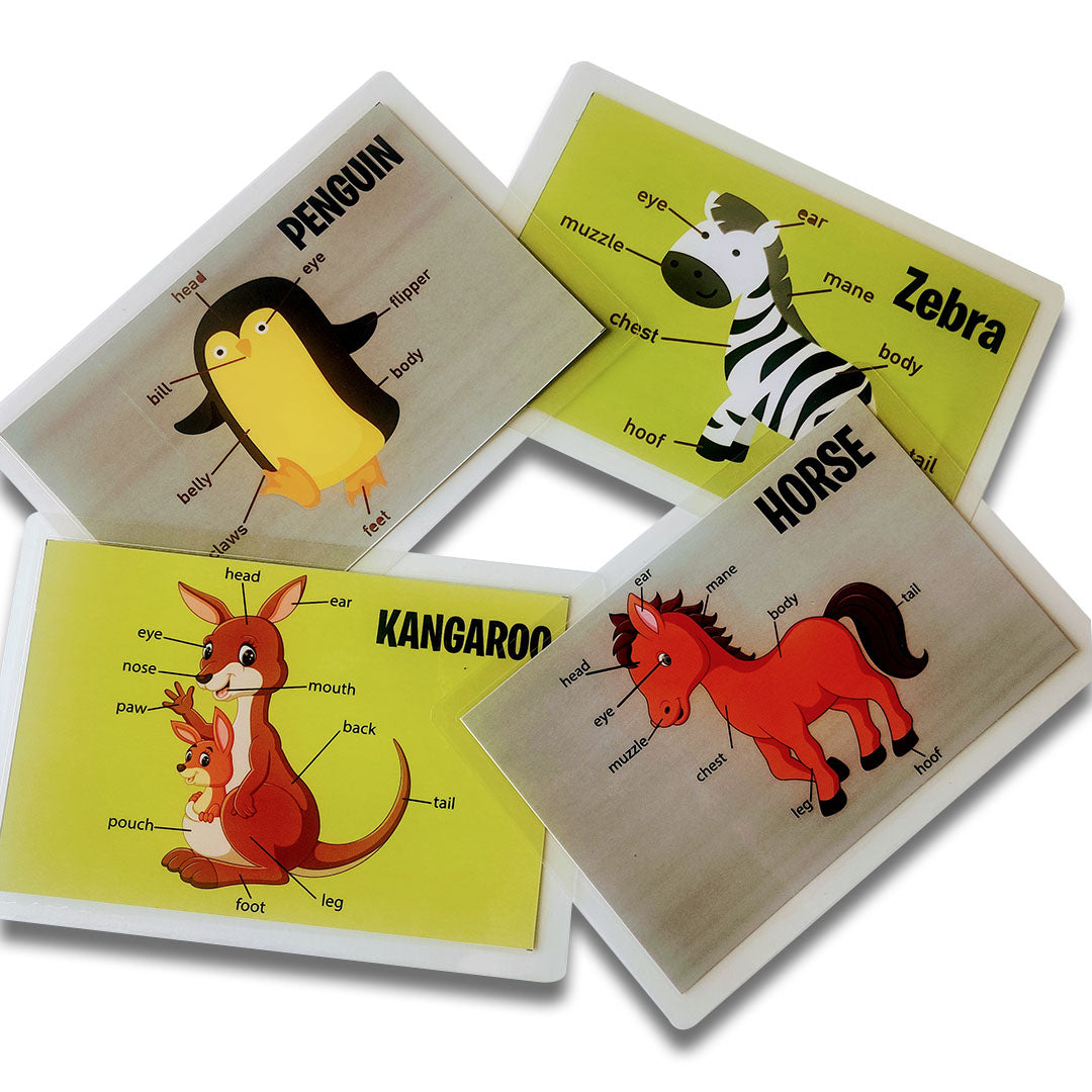 ZOOPLAY Animal Body Parts Flashcards