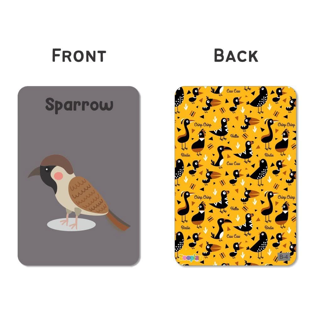ZOOPLAY Birds Flash Cards for Kids