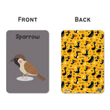ZOOPLAY Birds Flash Cards for Kids