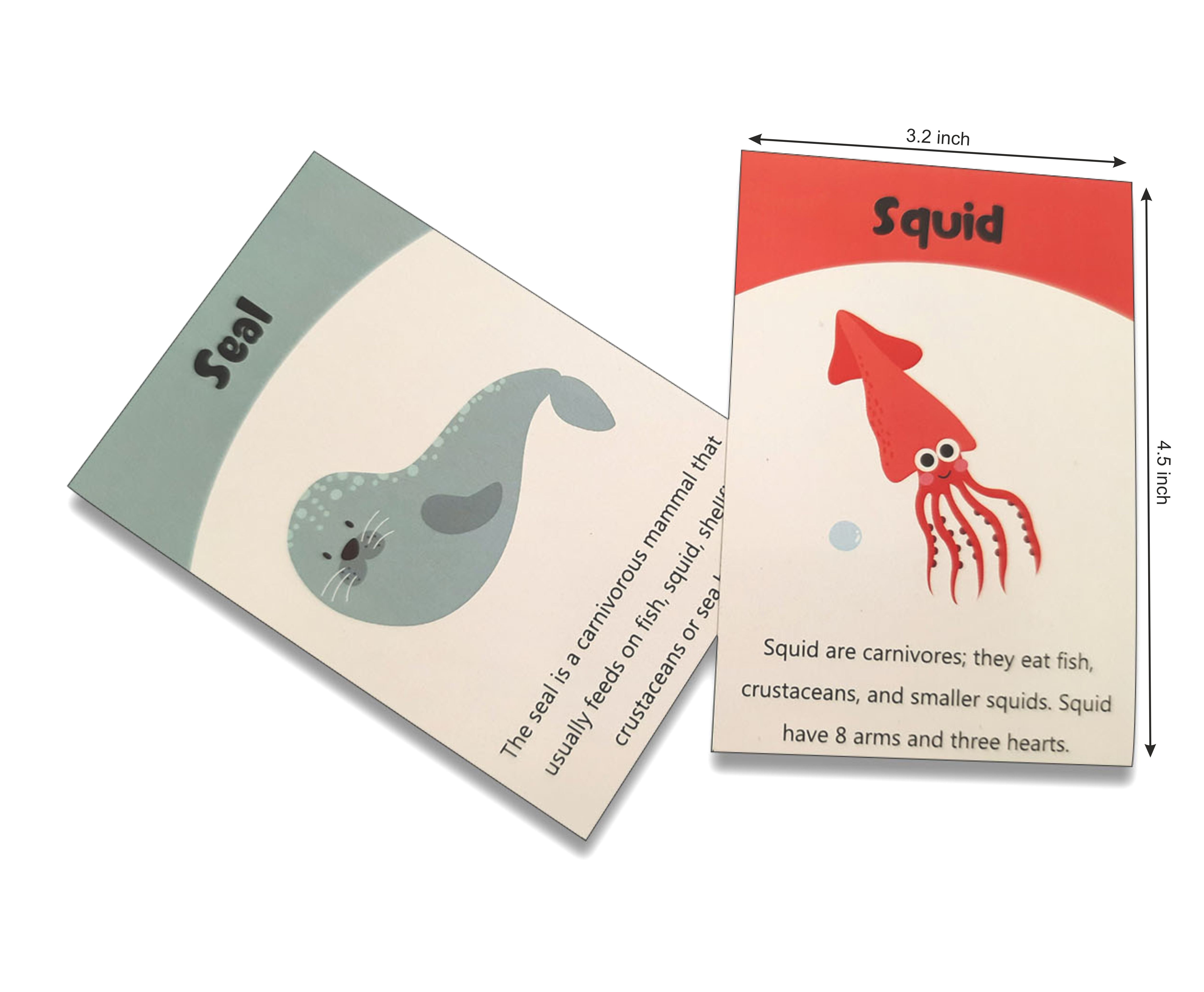 ZOOPLAY Sea Animals Flashcards