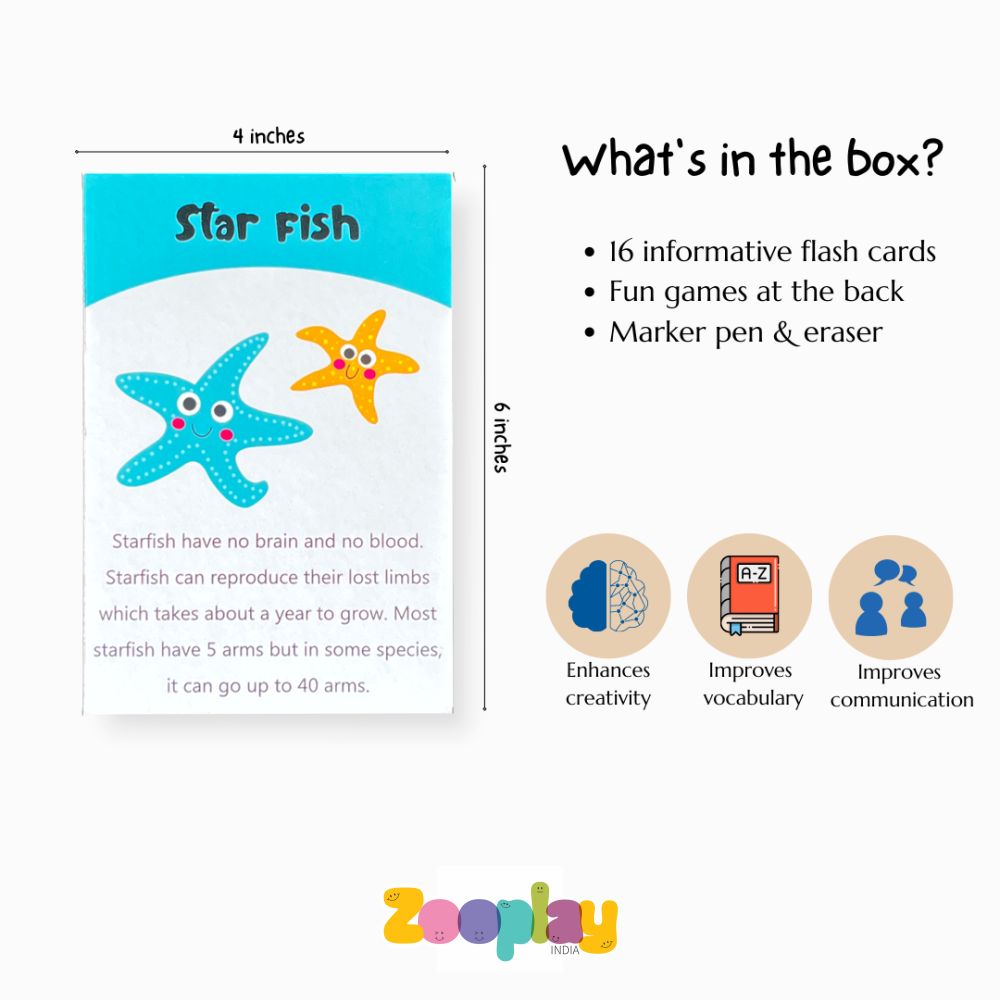 ZOOPLAY Sea Animals Flashcards