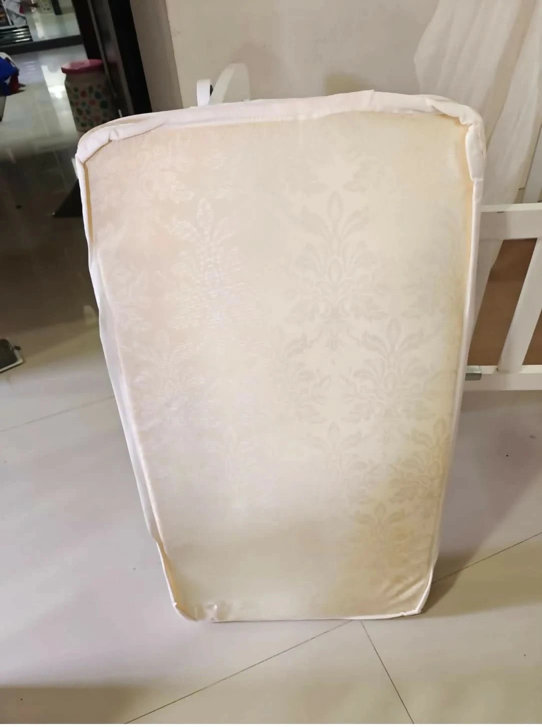 BABYHUG Joy Wooden Cradle with Mosquito Net - White mattress included