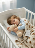 Baby blanket with toy pack of 2