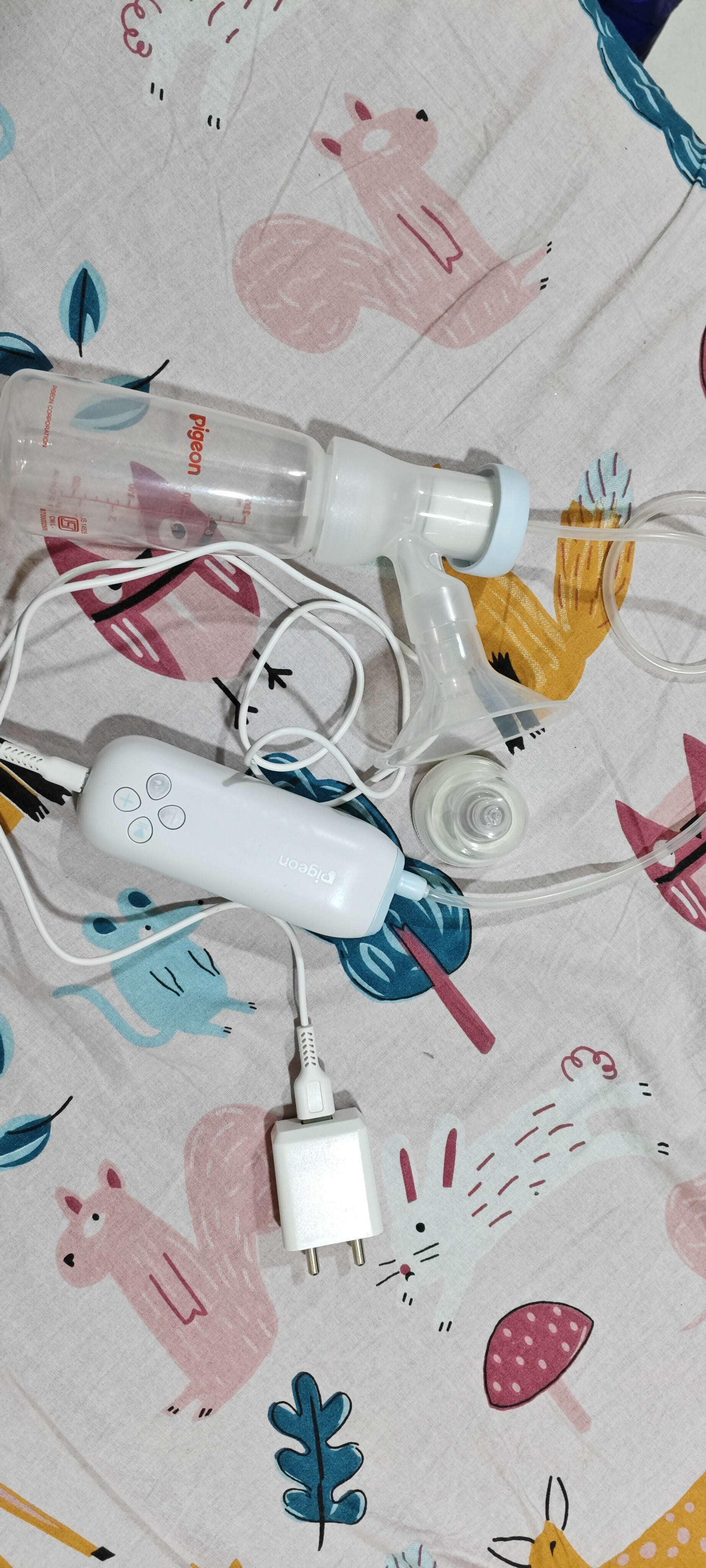 Pigeon electric pump