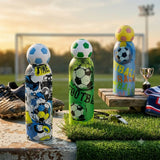 Premium Football Insulated Steel Bottle
