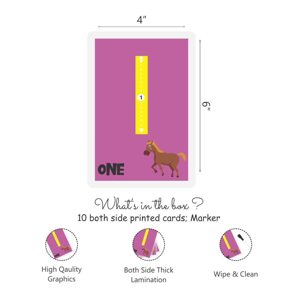 ZOOPLAY Numbers Rewritable Flashcards / Tracing Mats