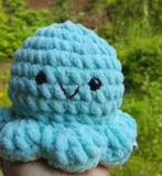 WhatsApp Image 2024-11-09 at 20.56.33