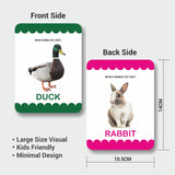 FIREFLIES CREATIVE PUBLISHERS & Flash Cards( Books and Toys) - PyaraBaby