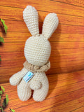 Crochet Bunny/Rabbit