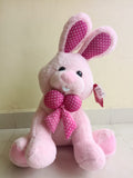 Goldy Bunnies Soft Toys Combo Set of 2