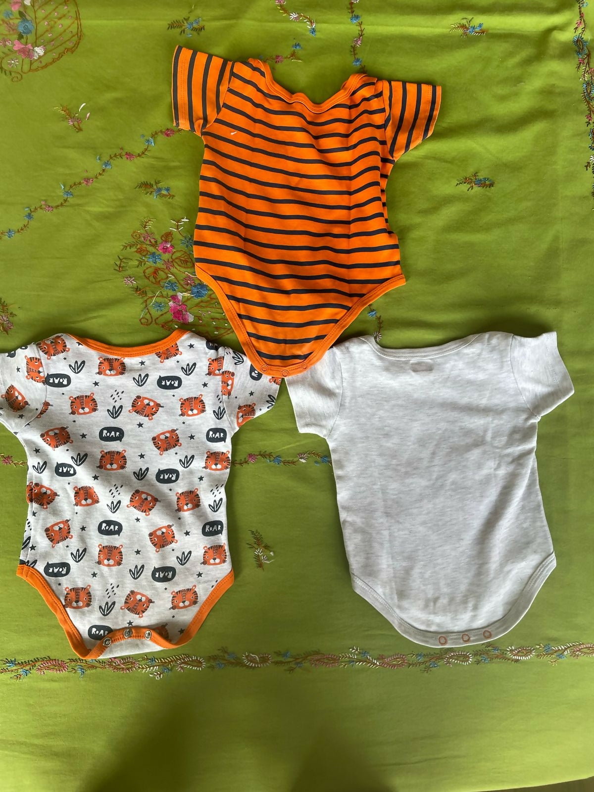 WhatsApp Image 2025-03-10 at 10.42.50 AM (1)