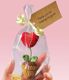 Crochet flower pots – handmade, colorful, and perfect for adding charm to your home or workspace.