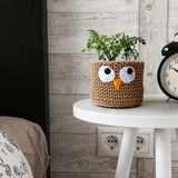 Handmade Crochet Owl Basket for Storage Handamde