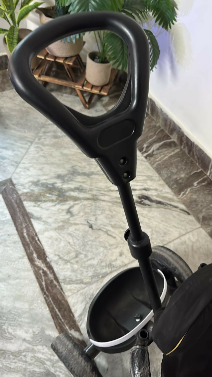 BABYHUG Tricycle Black with Canopy