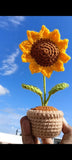 Sunflower Pot Crochet