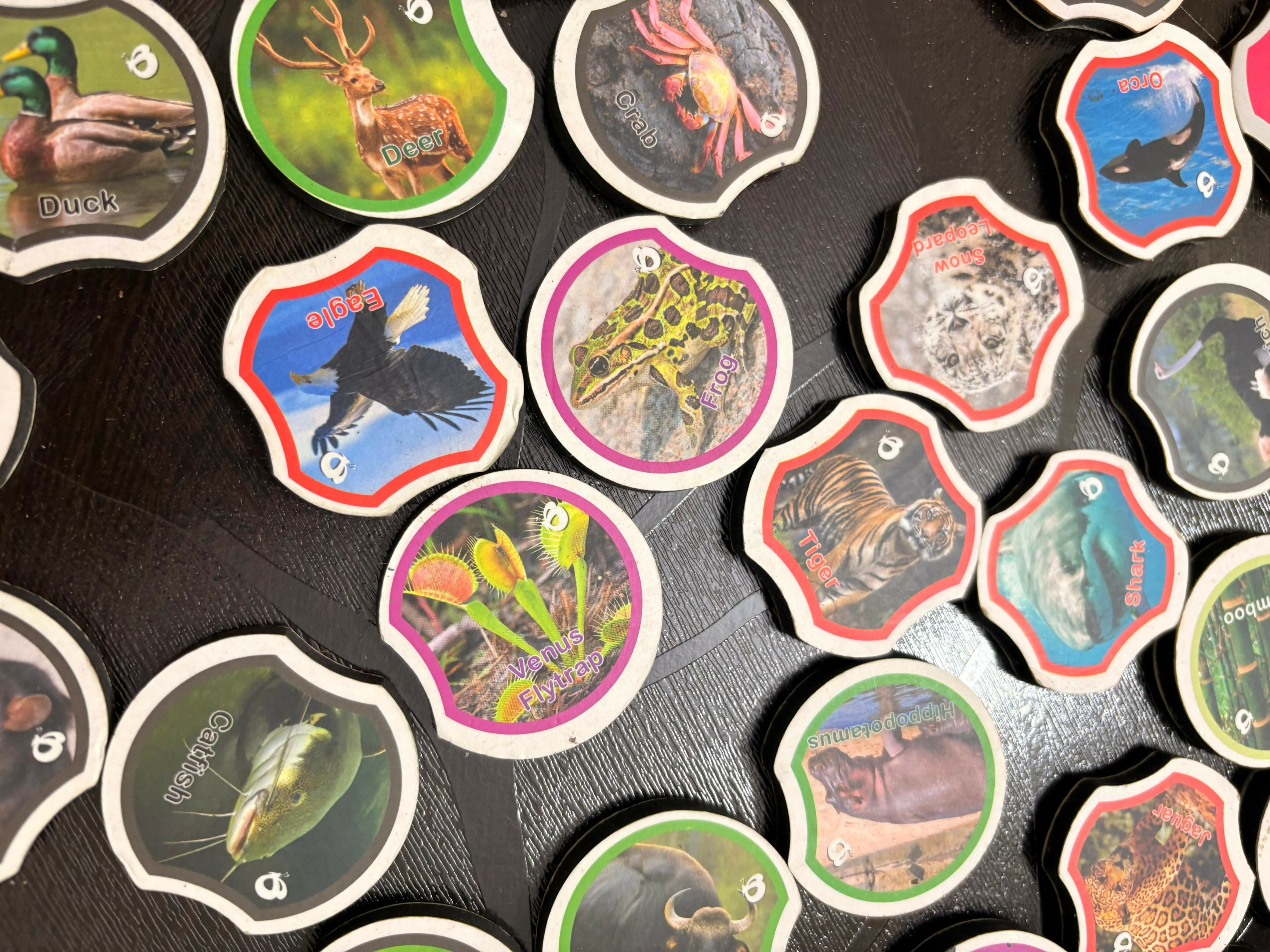 WhatsApp Image 2025-08-27 at 16.28.03