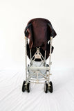 CHICCO London Baby Stroller/Pram Umbrella Recline Canopy Lightweight Foldable