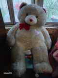 Teddy Bear Soft Toy