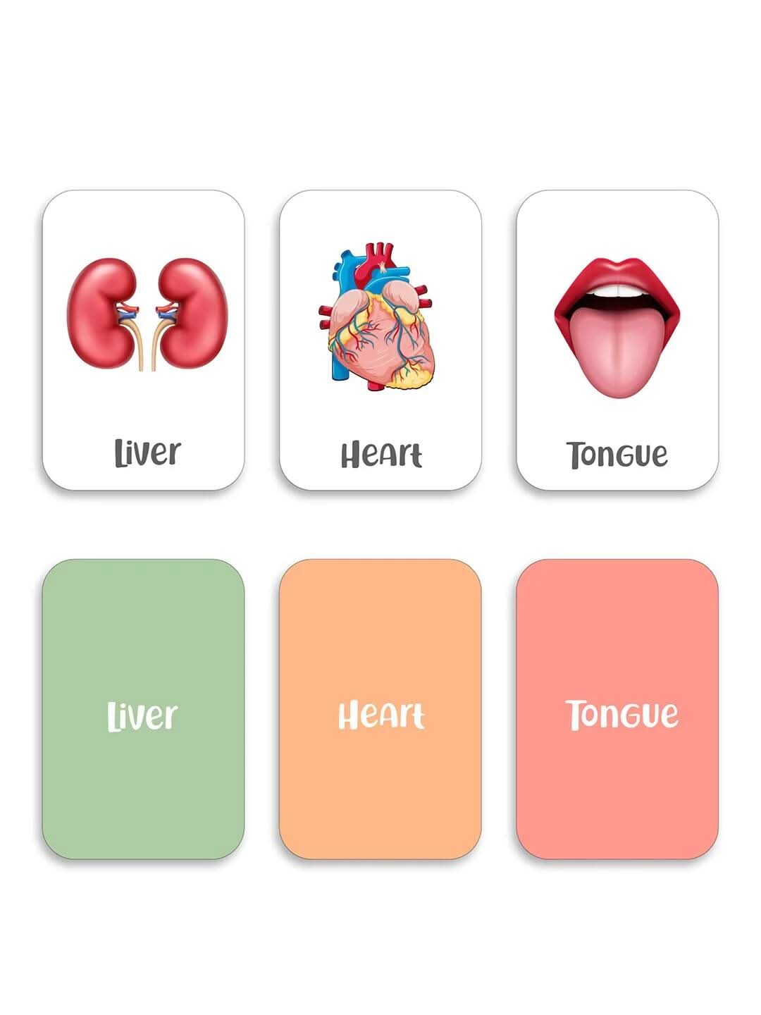 ILEARNNGROW Body Parts Flash Cards for kids learning, Educational Activities, Learning About the Body, Human Body, Body Identification - PyaraBaby
