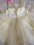1st Birthday Frock/ Party wear frock - Brand new - PyaraBaby