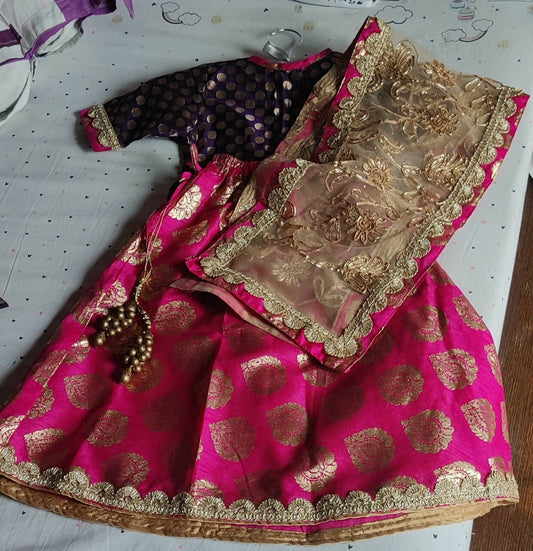 Introducing the exquisite Lehenga Choli Set for Baby Girl – a delightful ensemble for special occasions.