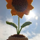 Sunflower Pot Crochet
