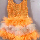 Dress your baby girl in enchanting elegance with our New Tulle Frock/Dress – crafted from delicate tulle fabric and featuring intricate detailing for special occasions.