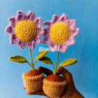 Purple Sunflower