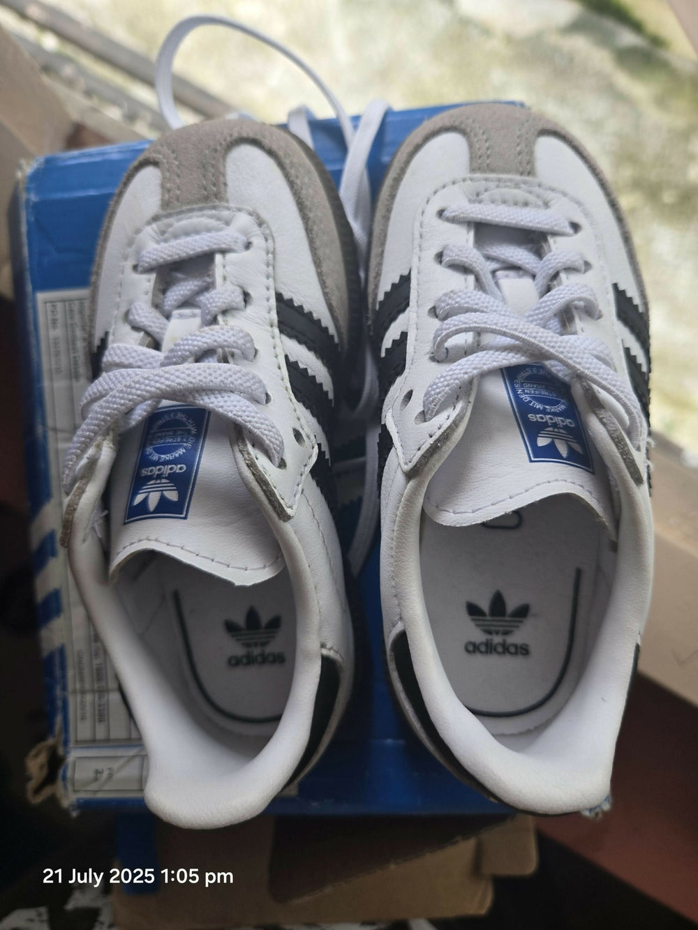 1000023356