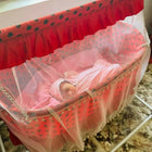 Ensure a restful sleep for your baby with our Manual Cradle – featuring gentle rocking motions, breathable mesh sides, and a comfortable mattress for safe and soothing slumber.