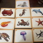Early Learning Flashcards & Spiral Book Set 