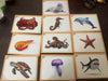 Early Learning Flashcards & Spiral Book Set