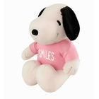 Soft Toy Cum Blanket