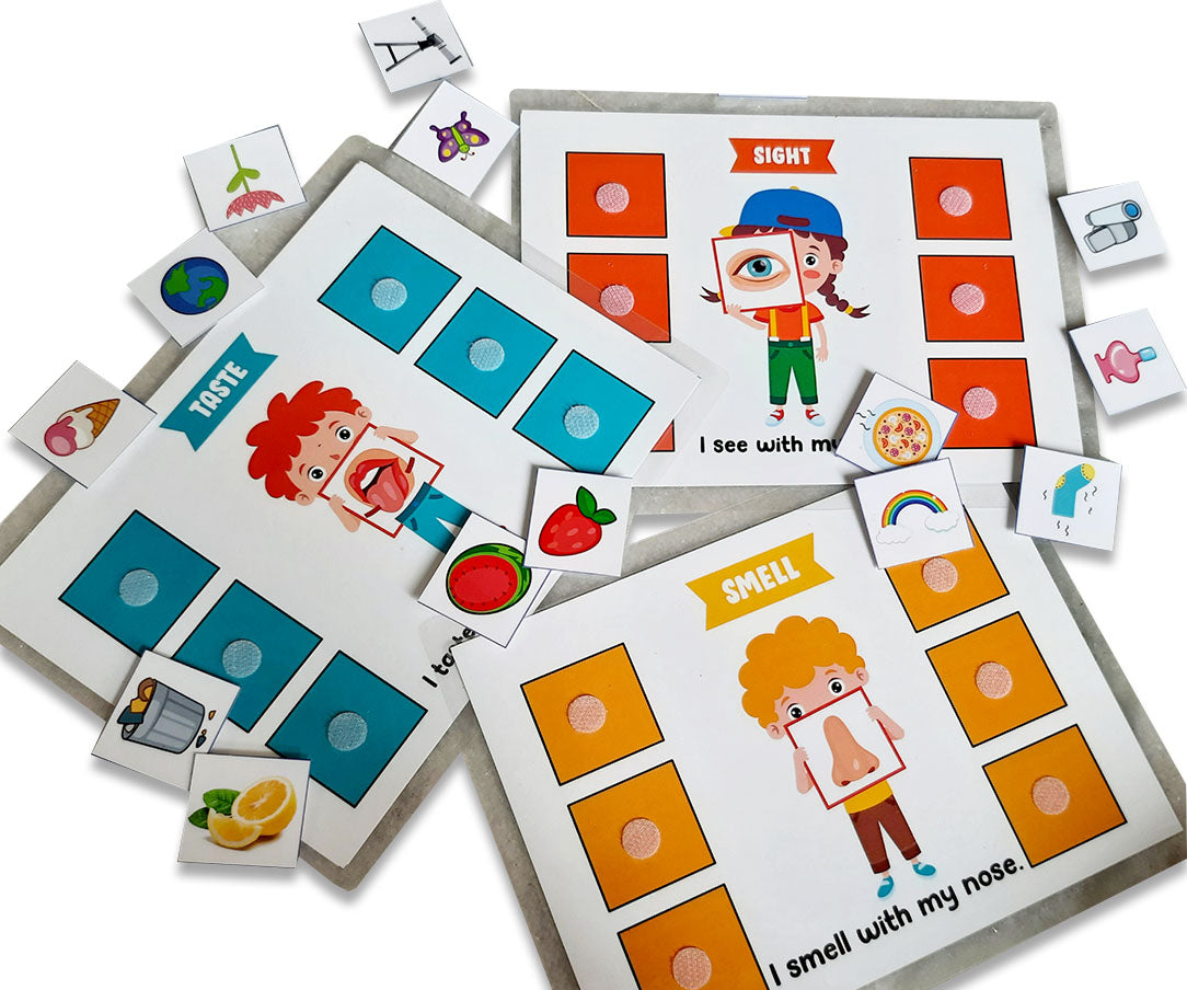 ZOOPLAY 5 Senses Sorting Activity Games