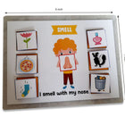ZOOPLAY 5 Senses Sorting Activity Games