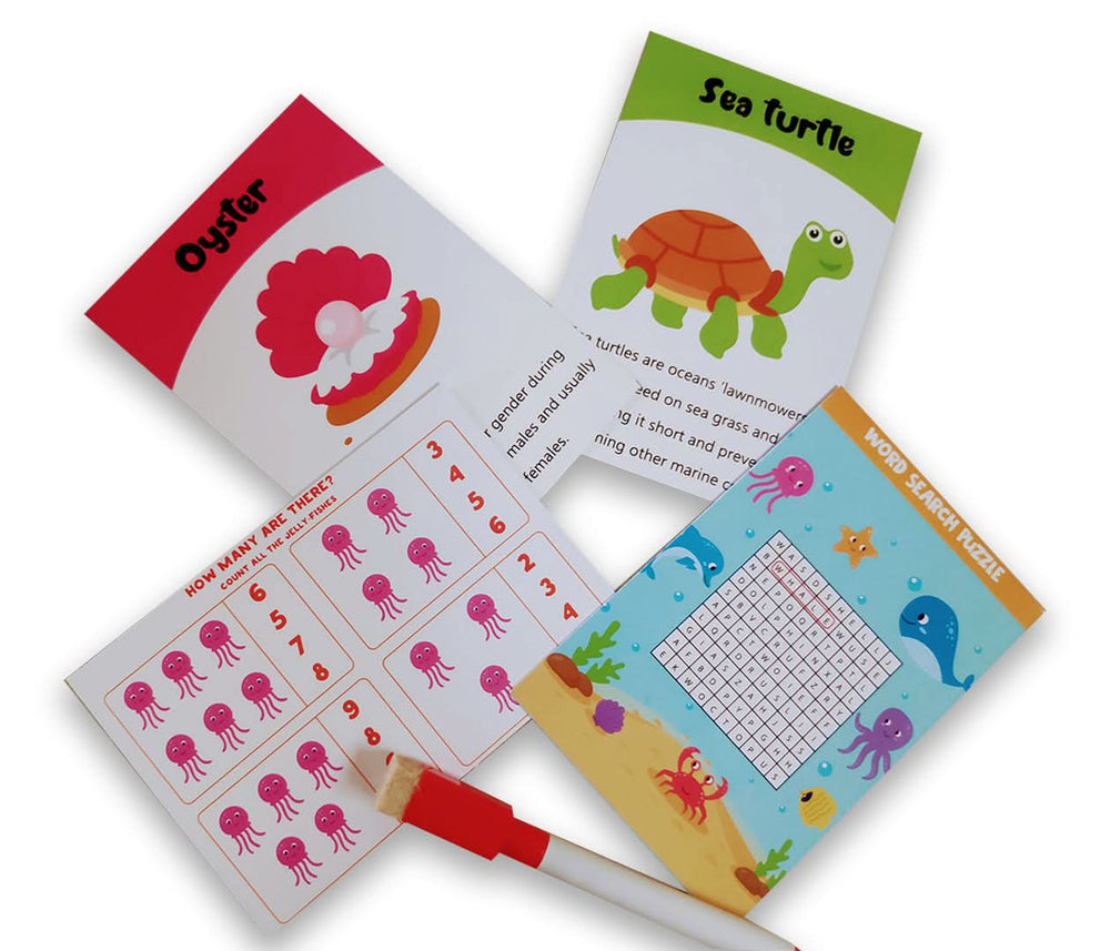 ZOOPLAY Animal World Combo Flashcards ( Animals, Birds, Insects and Sea Animals)