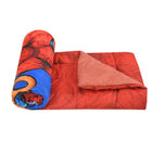 HOUSE OF DISNEY Kids Little Reversible Comforter featuring a soft and cozy design with reversible Disney-themed prints, lightweight cushioning, and comfortable fabric for children's beds, naps, and everyday use.