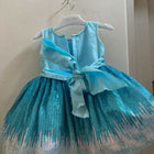 Frozen-Themed Blue Baby Frock (6–9 Months)