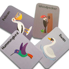 ZOOPLAY Birds Flash Cards for Kids