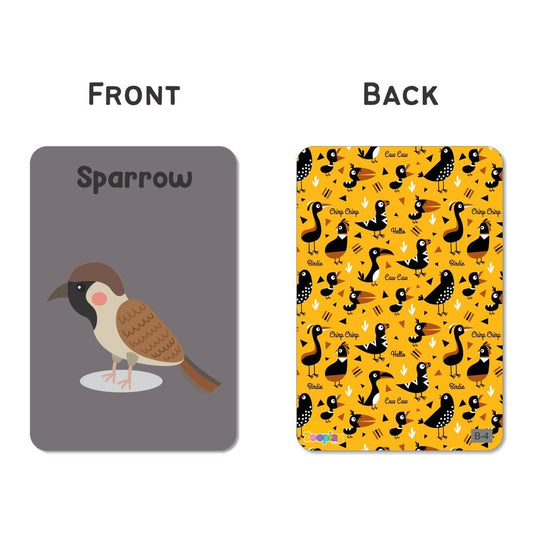 ZOOPLAY Birds Flash Cards for Kids