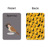ZOOPLAY Birds Flash Cards for Kids