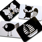 Zooplay High Contrast Flashcards