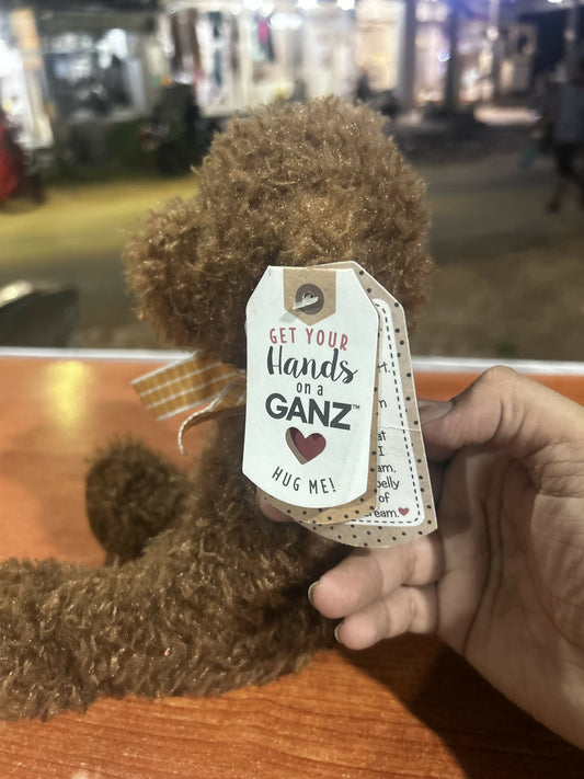 GANZ Stuffed Teddy Bear - BROWN soft with original tags - wonderful condition kids toy