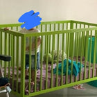 Durable and stylish FISHER PRICE baby cot/crib with adjustable mattress height for a safe and cozy sleep.